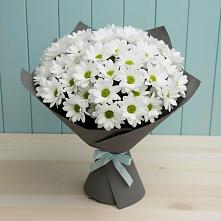 Букет цветов из:  Хризантемы в Кяхулай