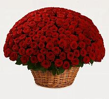 Премиум букет из: Розы #REPLACE_PRED# Кяхулай