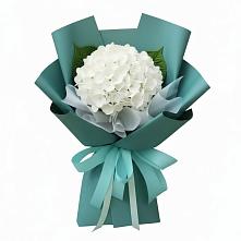 Букет цветов из:  Гортензия #REPLACE_PRED# Кяхулай